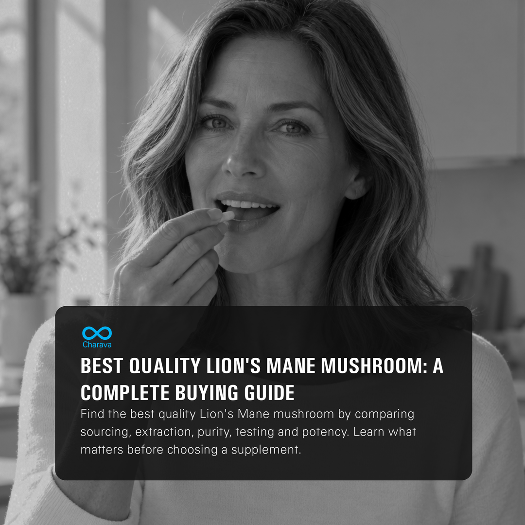 Best Quality Lion's Mane Mushroom