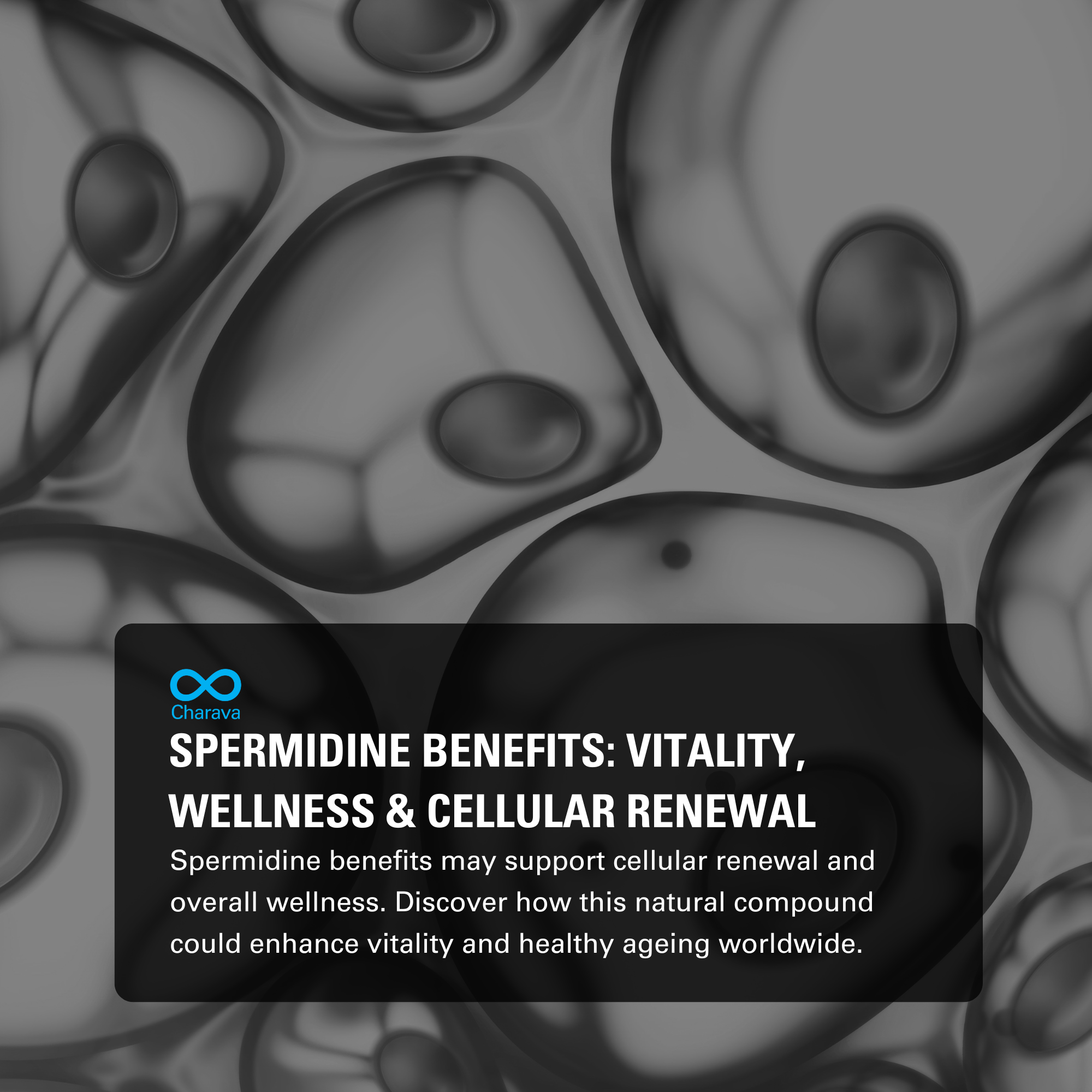 Understanding Spermidine Benefits: Supplementation & Safe Usage Tips - Charava Global