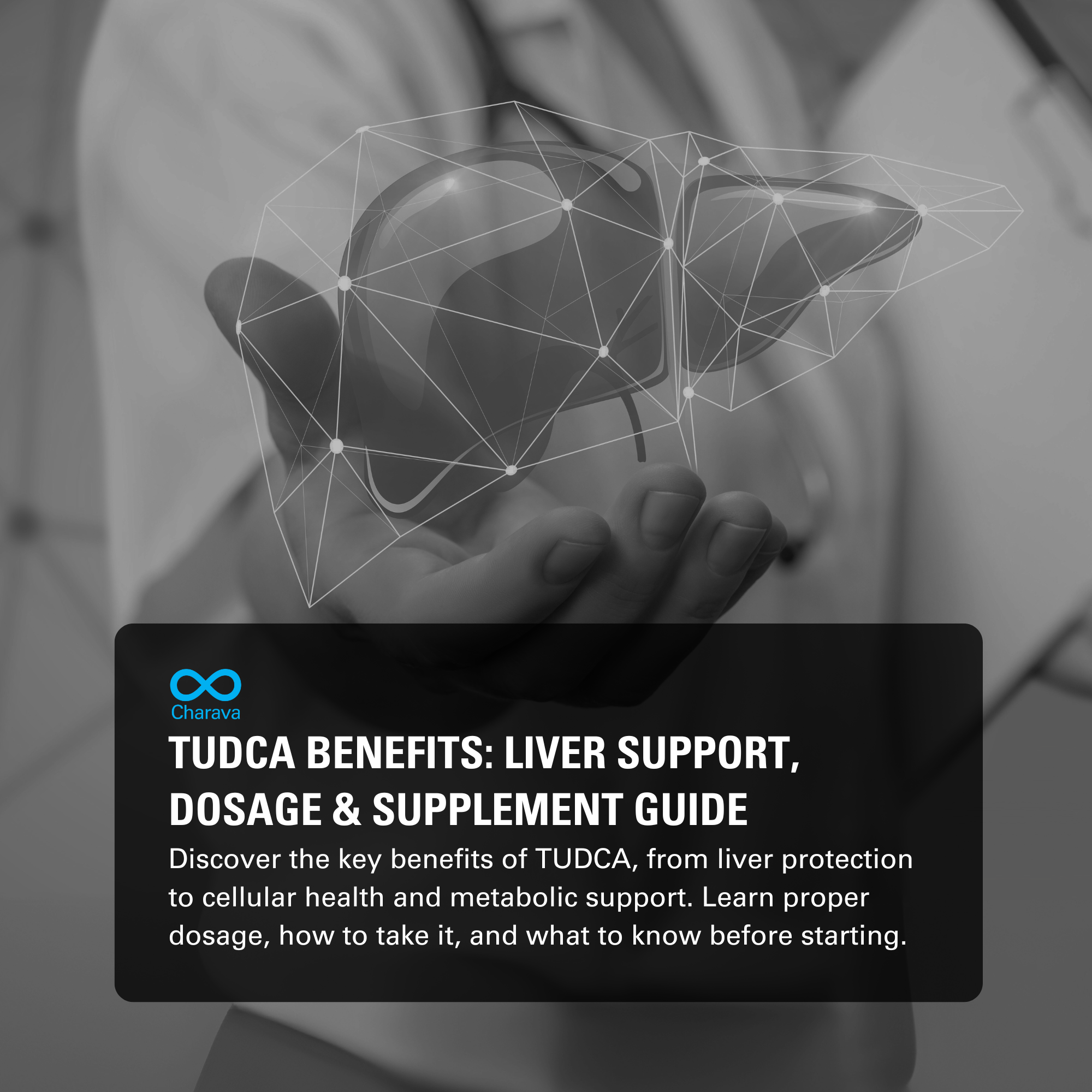 Exploring TUDCA Benefits That Make This Supplement Globally Popular - Charava Global