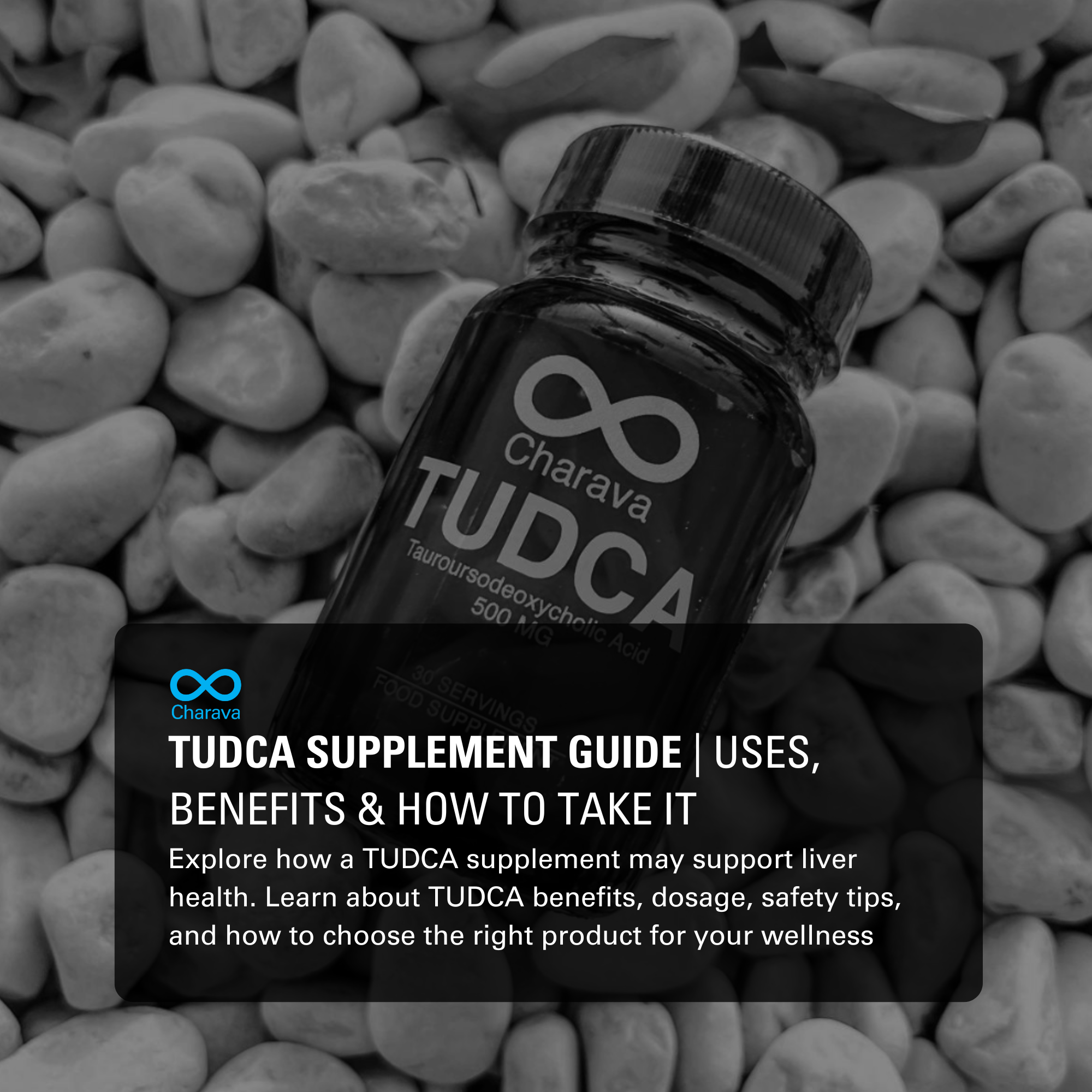 TUDCA Supplement Guide: Key Benefits, Dosage, and How You Can Use It - Charava Global