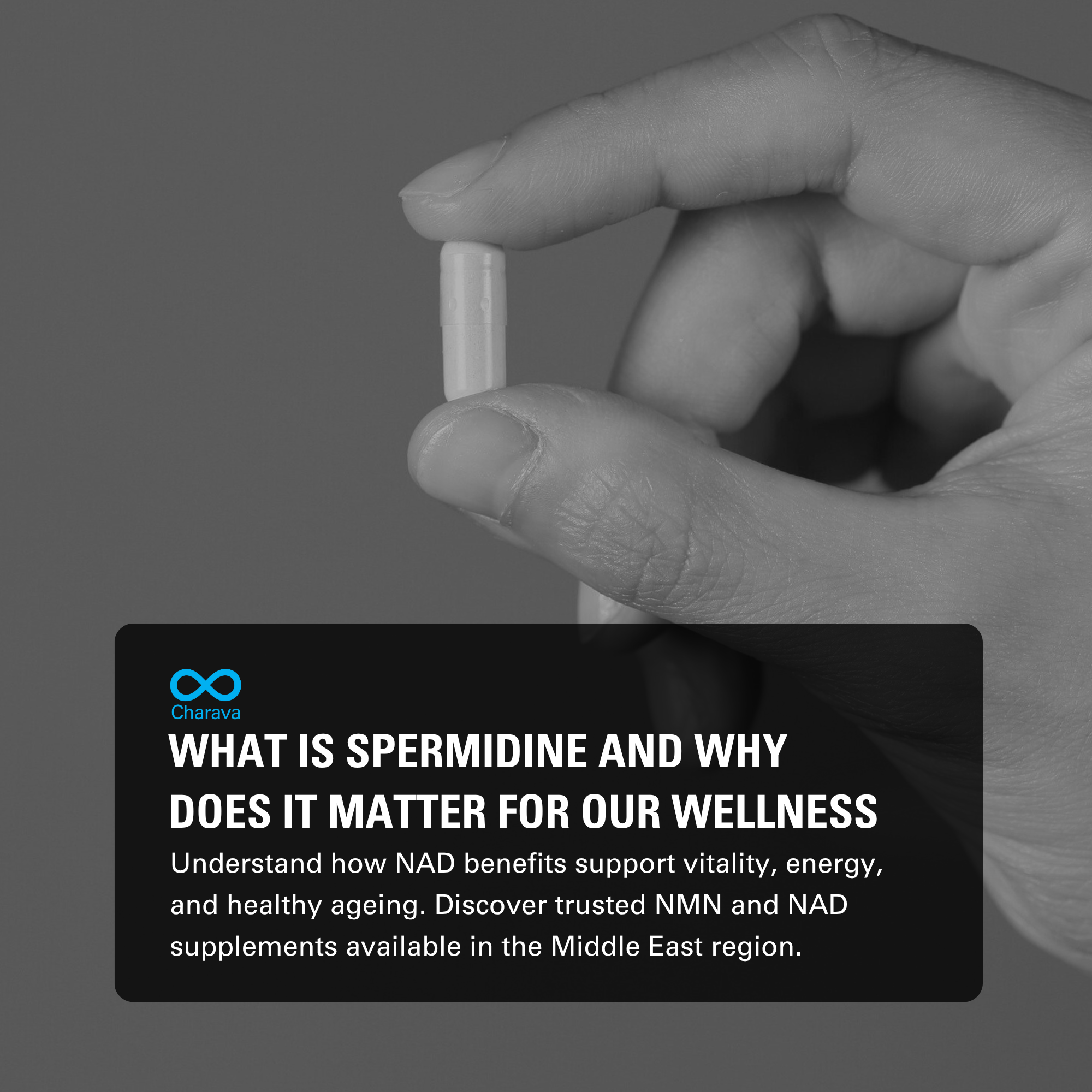 Understanding Spermidine: Its Role, Sources and Supplement Benefits - Charava Global