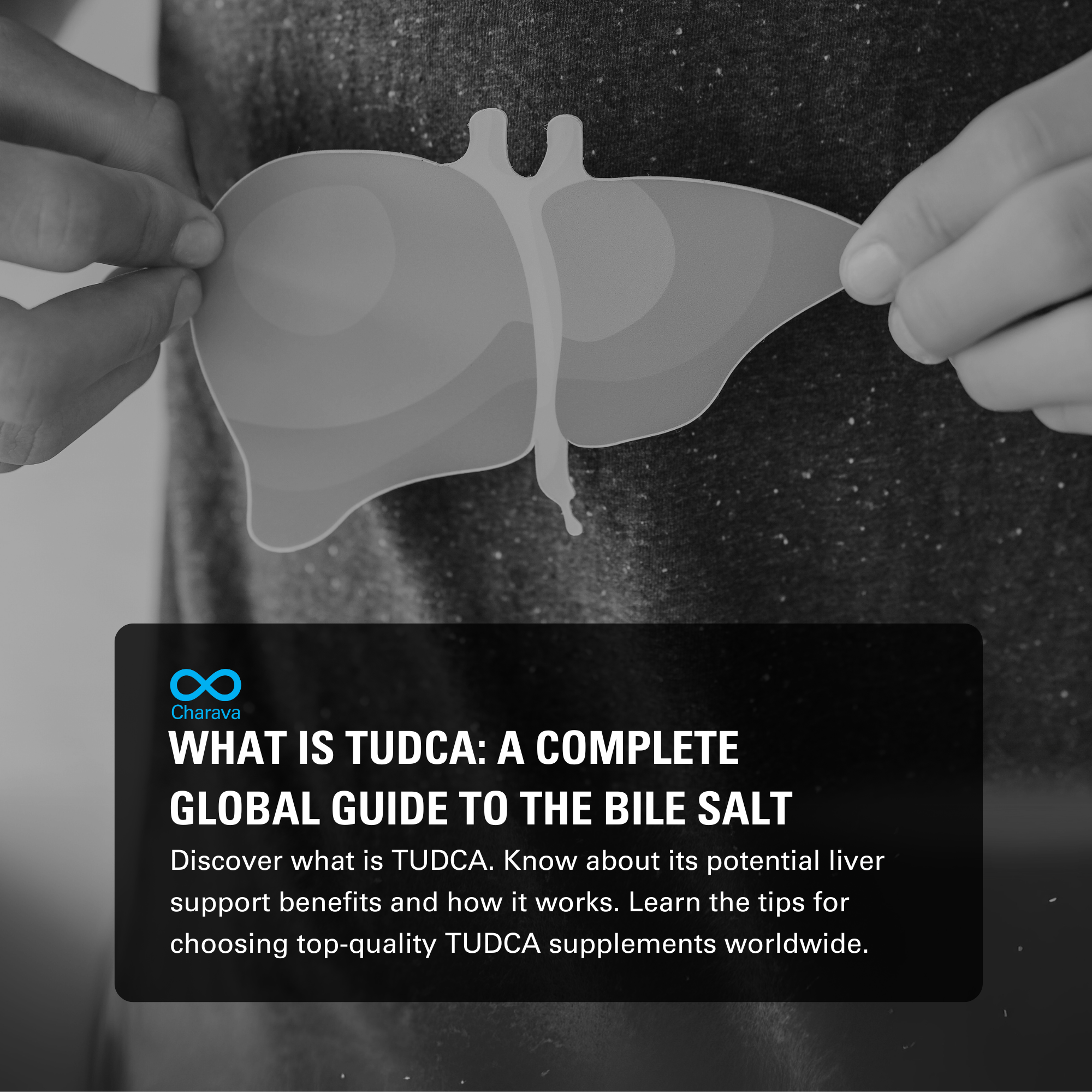 What is TUDCA: A Detailed Global Guide About the Powerful Bile Salt - Charava Global